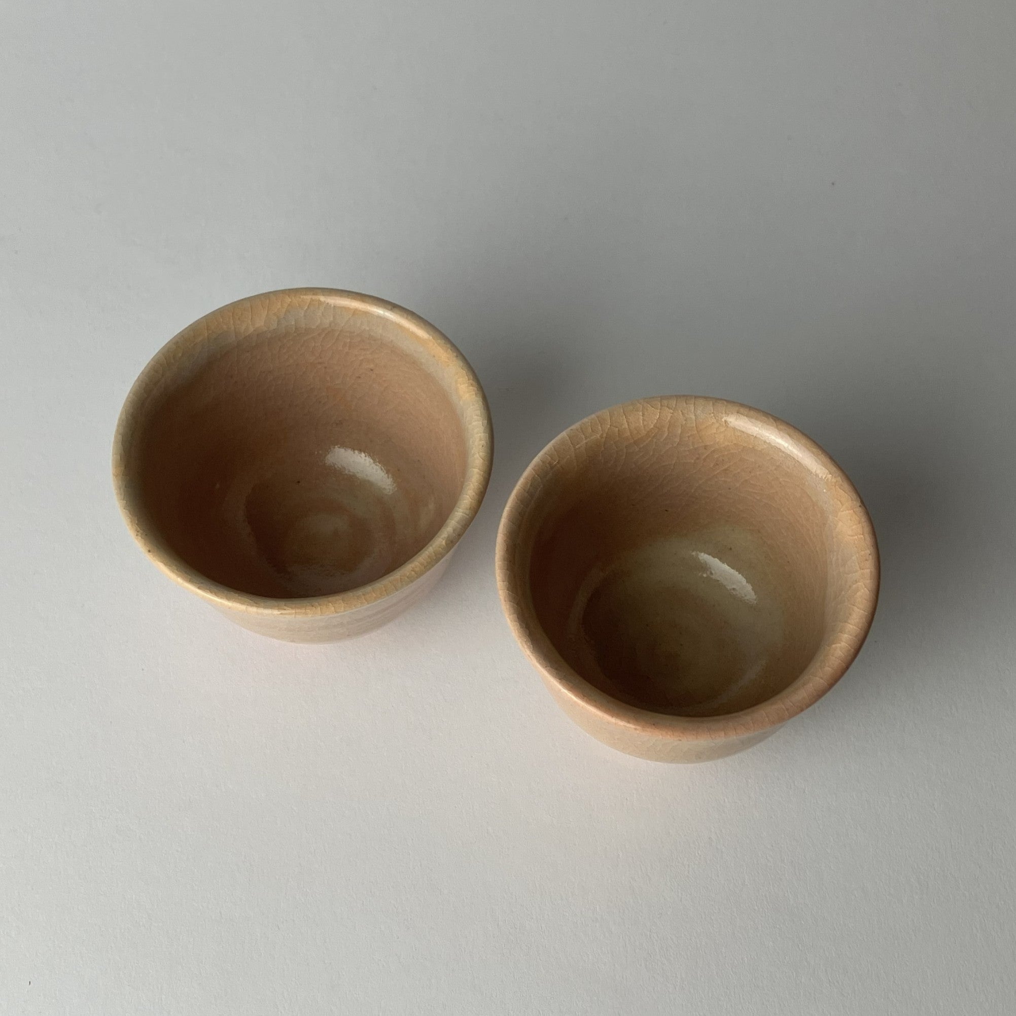 Ryokusen Honjikomi & Japanese Traditional Sake Cup Gift Set