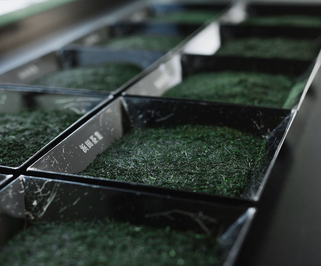 Dry green tea from Japan. Premium green tea Uzuki