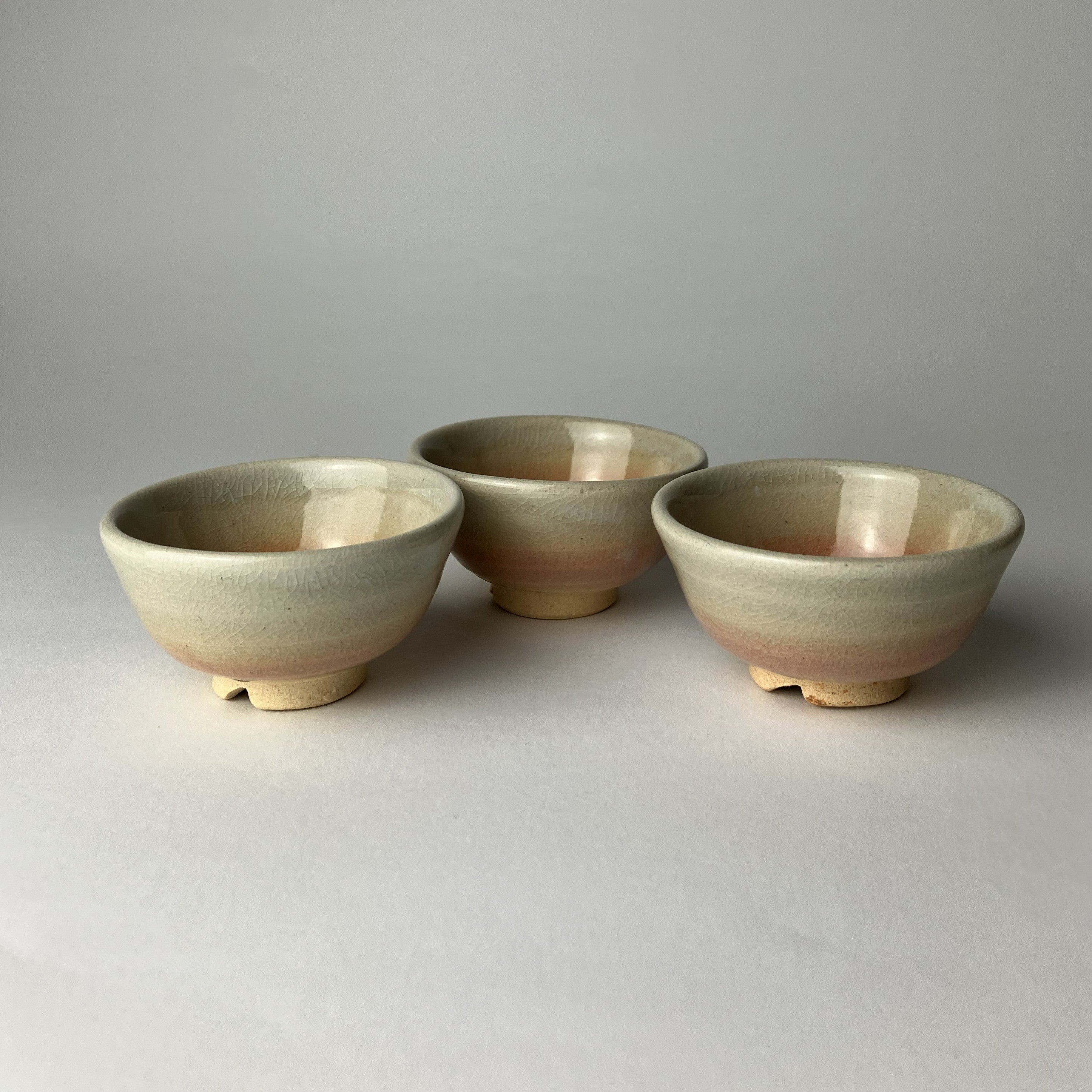 Sake Tasting Collection: Three Breweries & Hagi Ware Cup