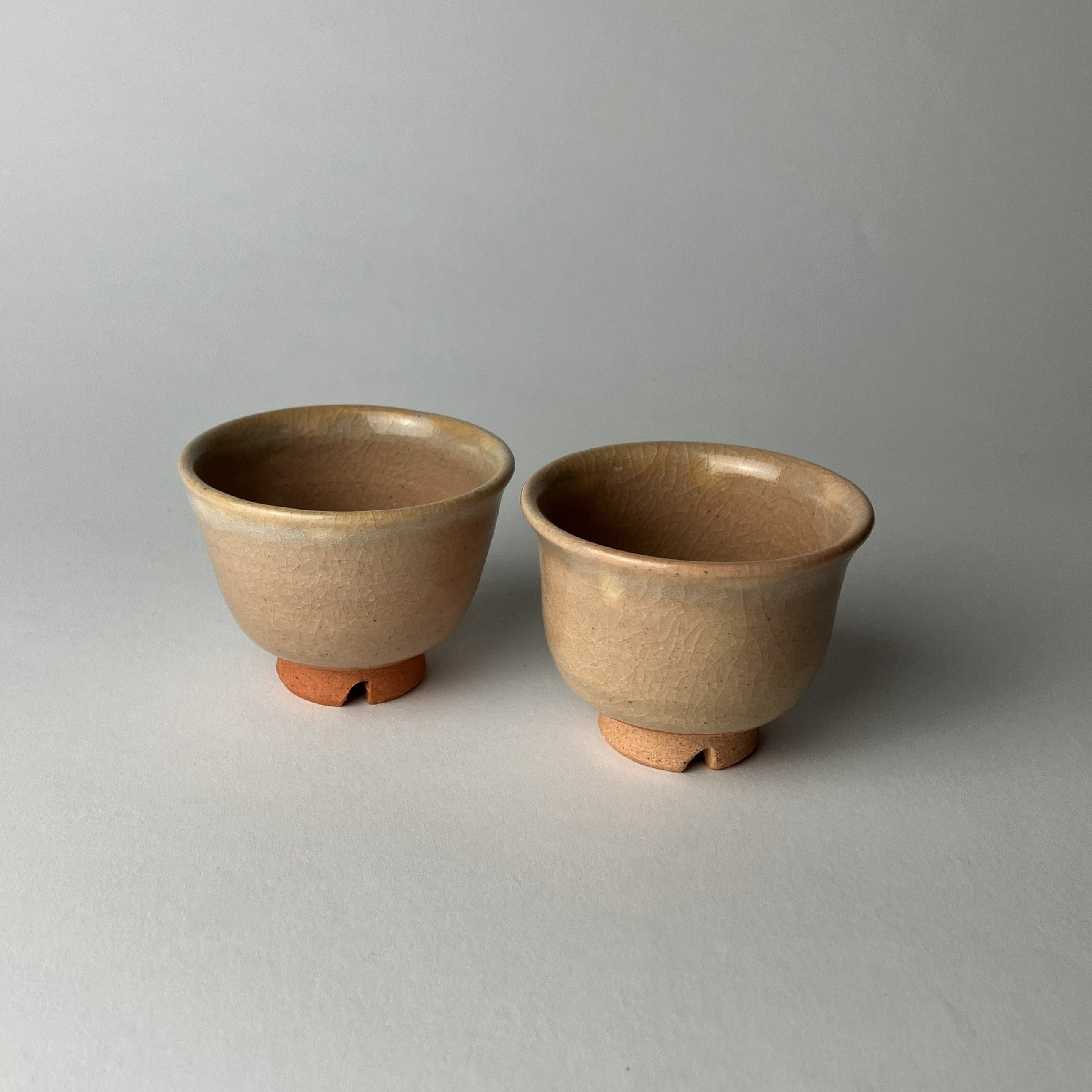 Ryokusen Honjikomi & Japanese Traditional Sake Cup Gift Set
